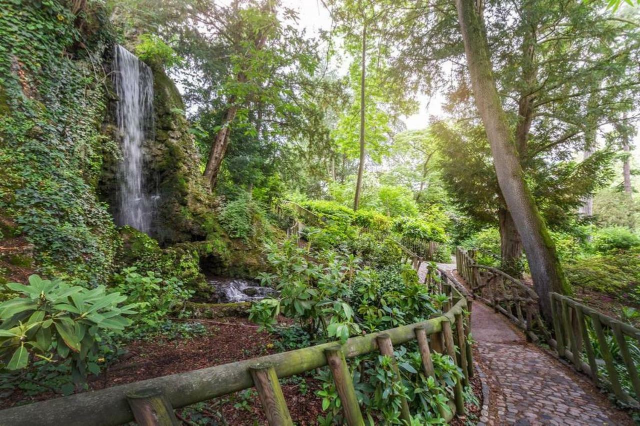 Calme Appart Renove Jardin Des Plantes Busca Toulouse Kültér fotó